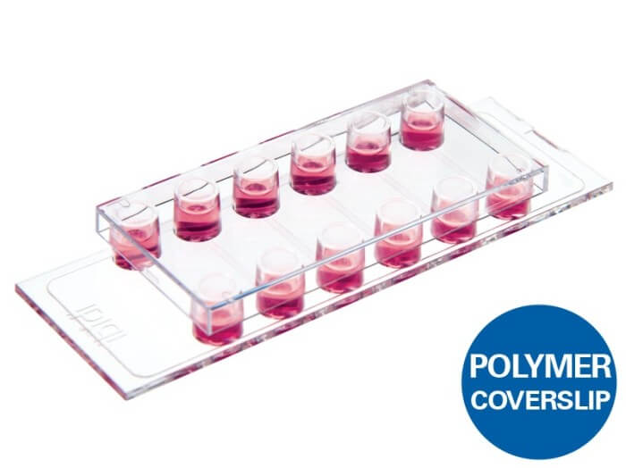 ibidi µ-Slide VI 0.1