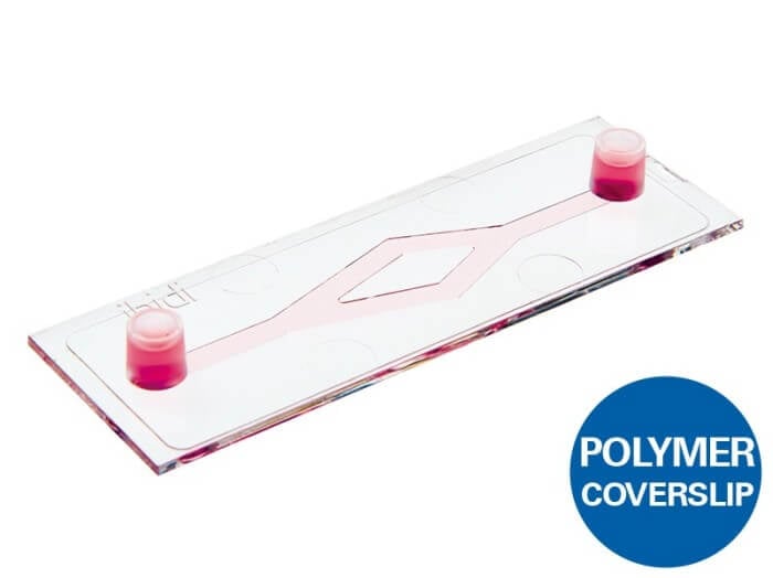 ibidi µ-Slide y-shaped