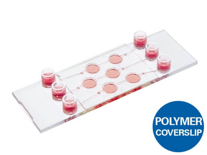 ibidi µ-Slide III 3D Perfusion