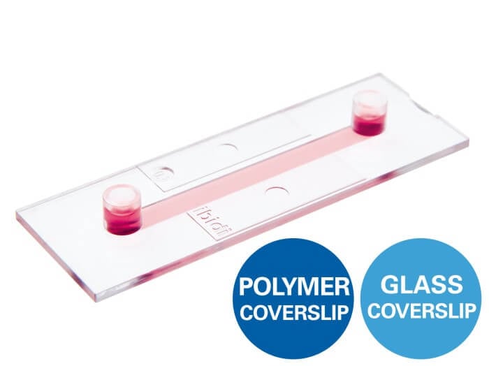 ibidi µ-Slide I Luer