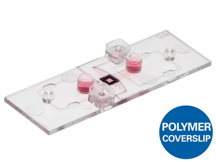 ibidi µ-Slide ibiPore SiN