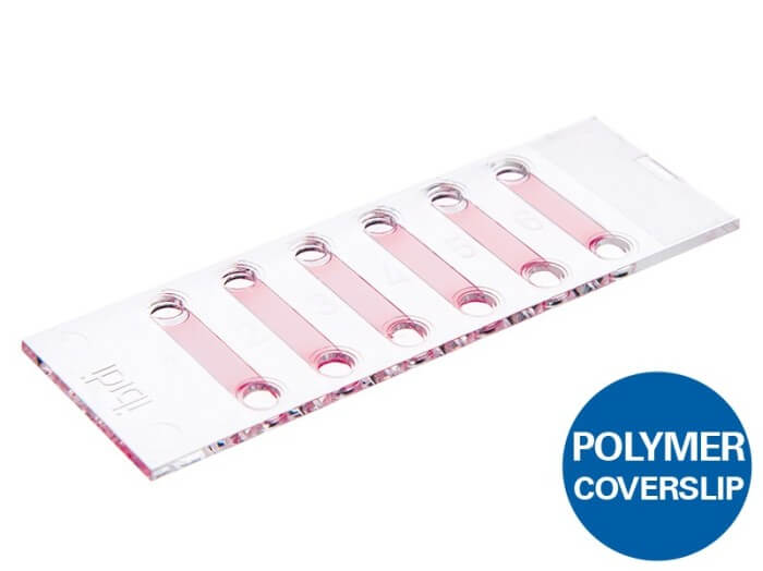 ibidi µ-Slide VI - Flat