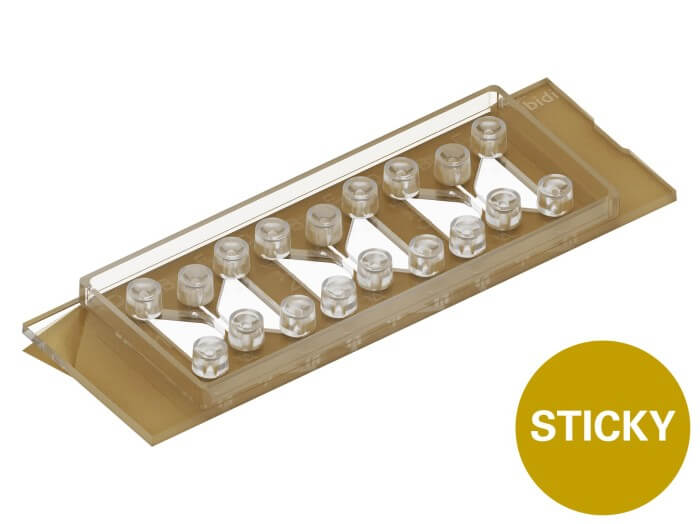 ibidi sticky-Slide Chemotaxis