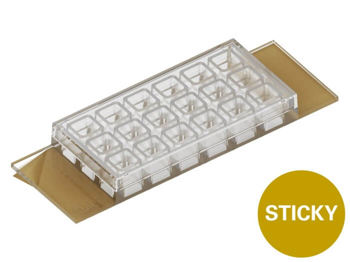 ibidi sticky-Slide 18 Well