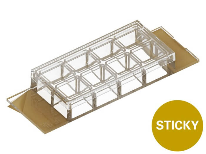 ibidi sticky-Slide 8 Well high