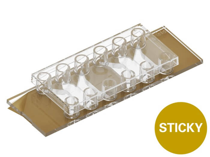 ibidi sticky-Slide Tissue Engineering