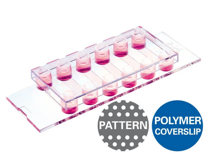 ibidi µ-Slide VI 0.4 µ-Pattern