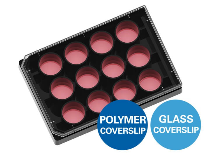 ibidi µ-Plate 12 Well