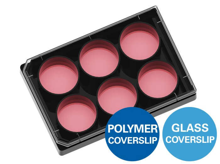 ibidi µ-Plate 6 Well