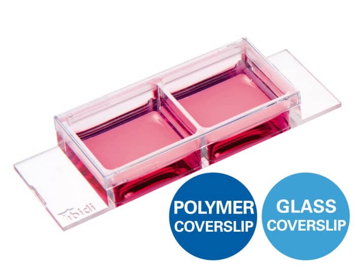 ibidi µ-Slide 2 Well