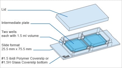µ-Slide 2 Well Ph+ – key features