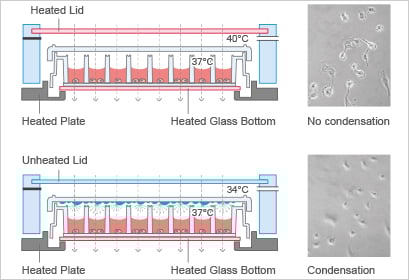 Condensation-free imaging with ibidi Stage Top Incubator Multiwell Plate