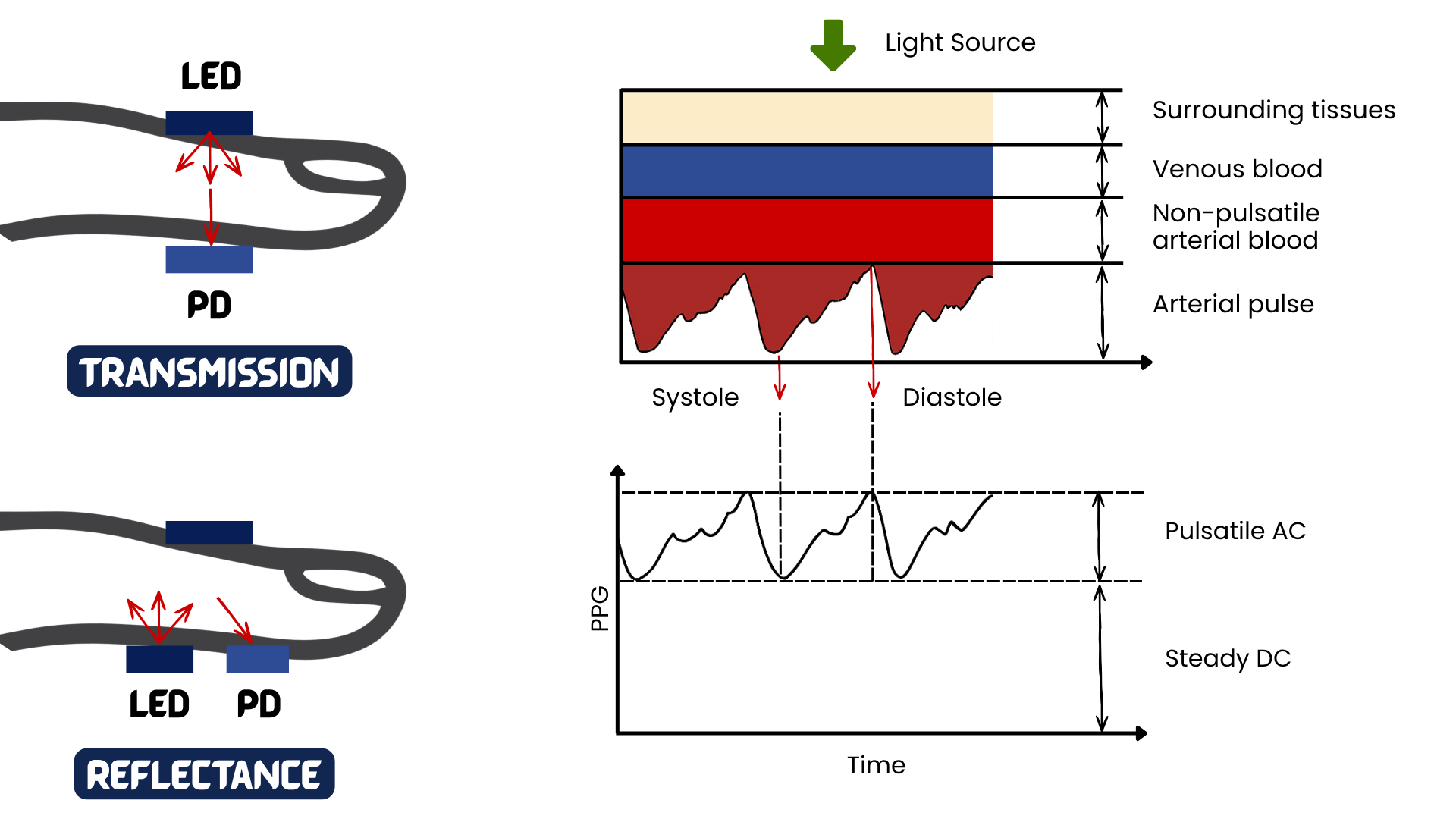 Research-grade vs Consumer-grade Photoplethysmography (PPG): What Researchers Should Know