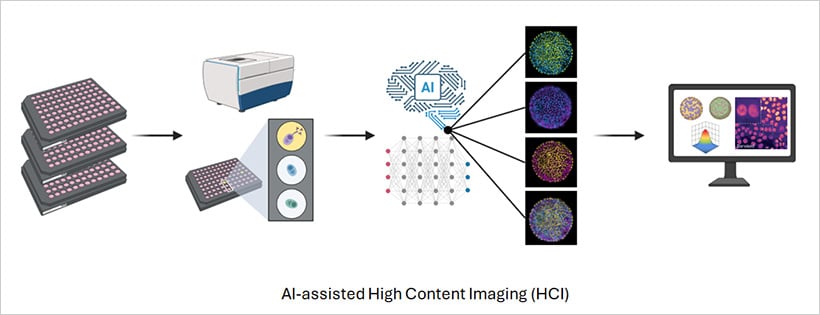 Smarter Imaging: AI Meets Automation in Cell Microscopy