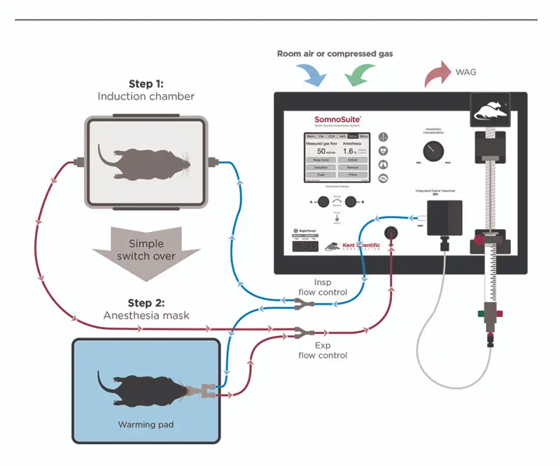 SomnoSuite setup diagram