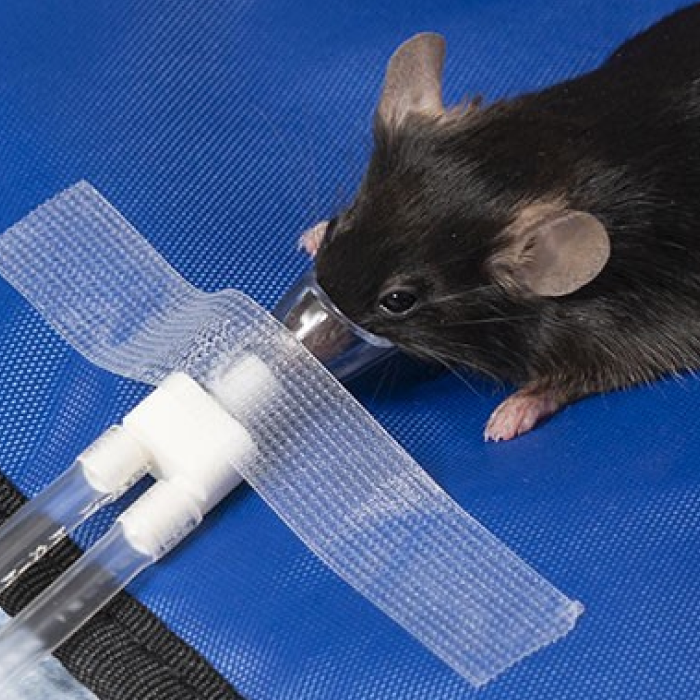 Mouse with low-profile anesthesia facemask