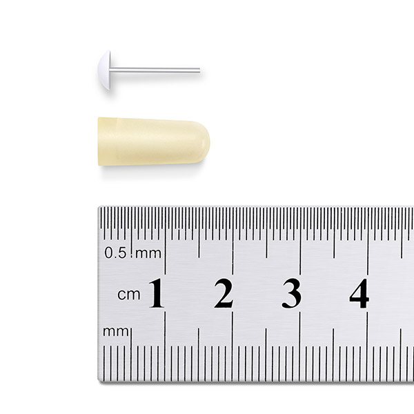 RWD mini osmotic pump showing pump components and scale