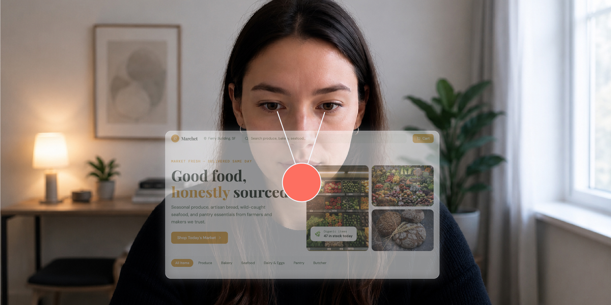 Tobii Webcam Eye Tracking – product overview