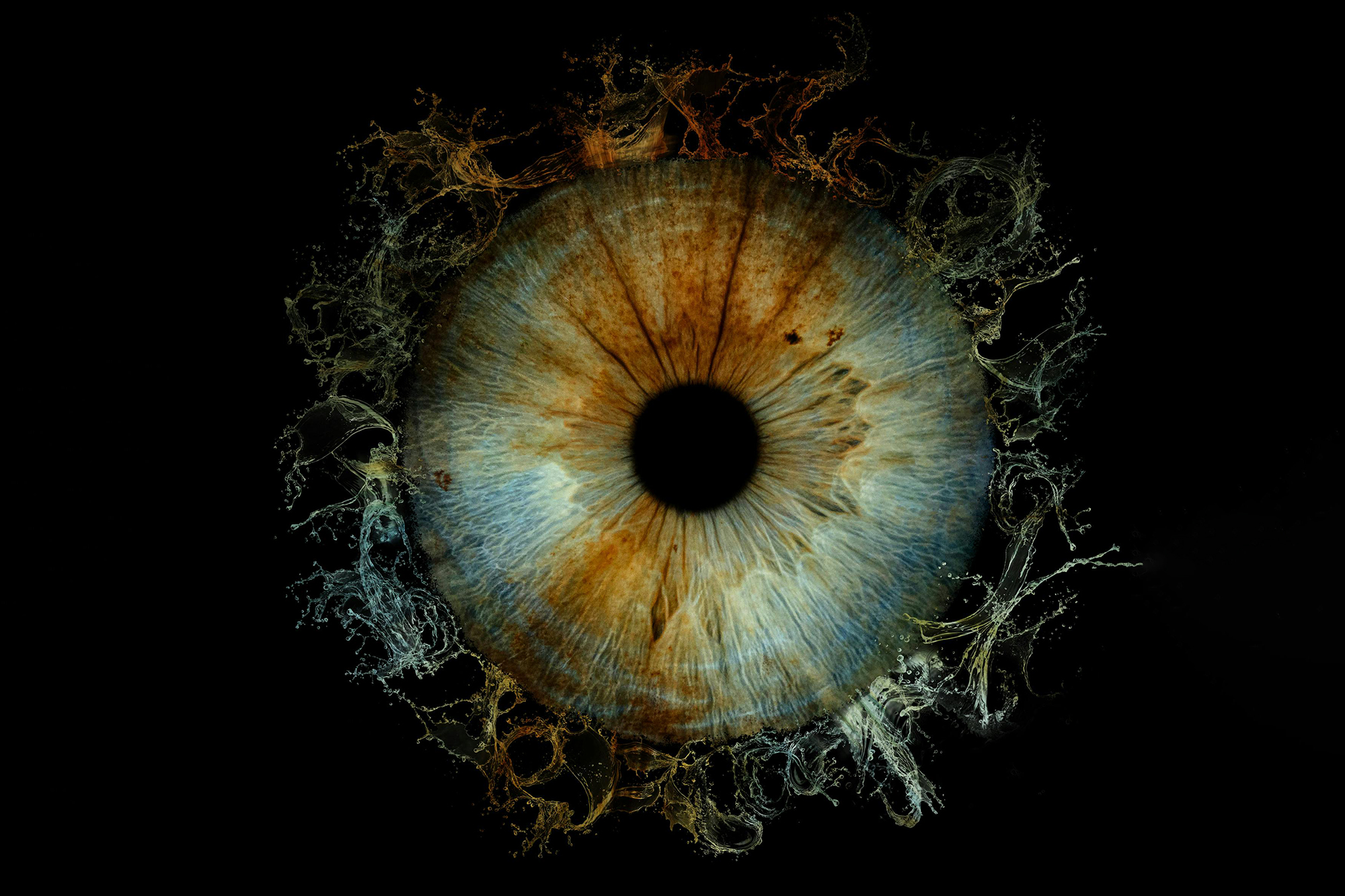 Beginner's Guide to Eye Tracking: Expert Tips You Need to Know