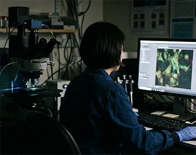 Scientist performing a cell-based assay in the laboratory