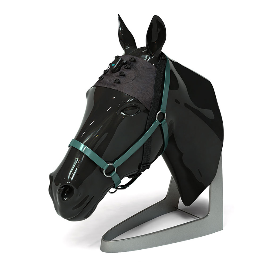 Unicorn horse EEG cap with base station for equine research