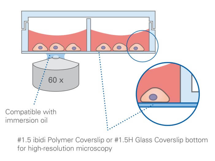 ibidi µ-Slide 8 Well principle and well layout diagram