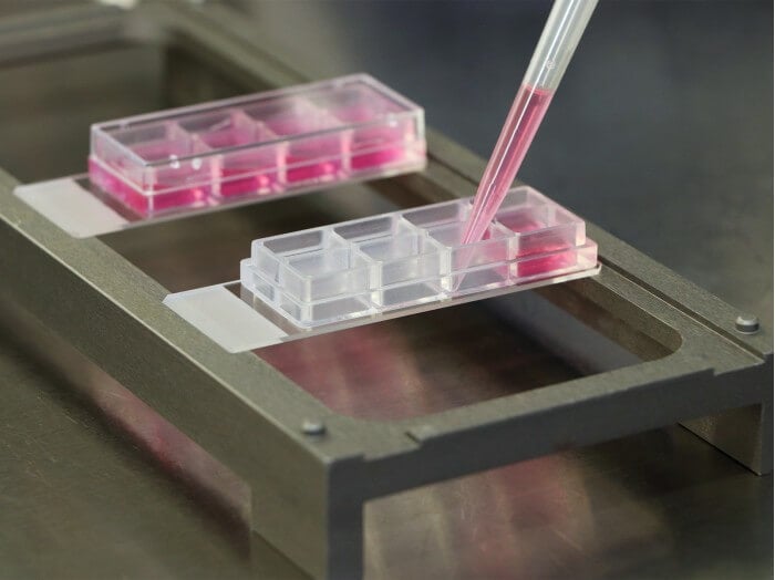 Removing the silicone chamber from the glass slide