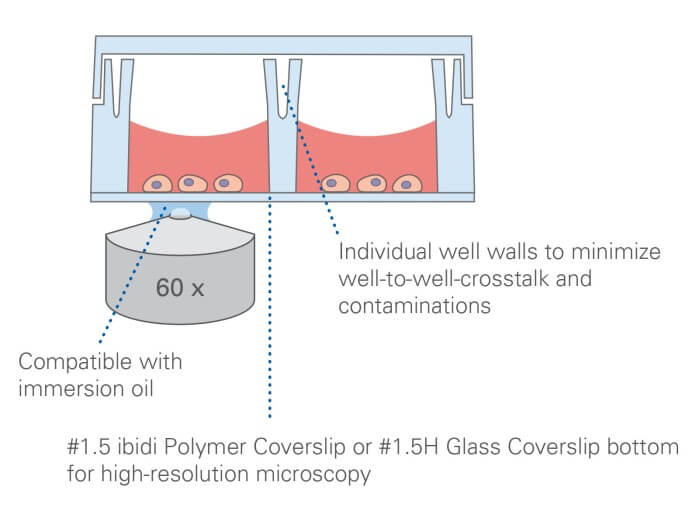 ibidi u-Slide 8 Well high with lid