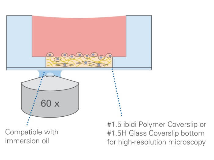 ibidi u-Slide 15 Well 3D with lid