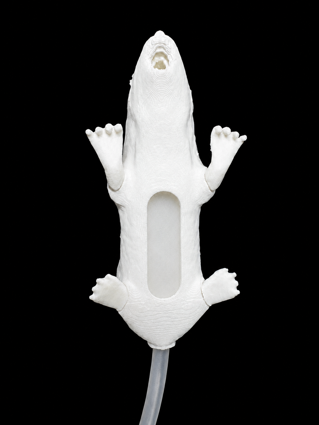Ventral view of the Humaneway LaboPal mouse simulator showing the abdominal insert