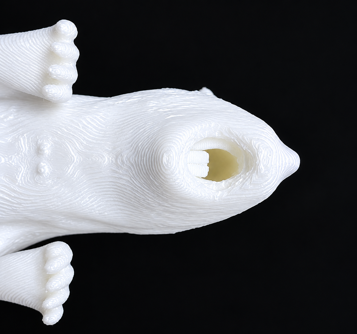 Open mouth and oral cavity of the Humaneway LaboPal mouse simulator