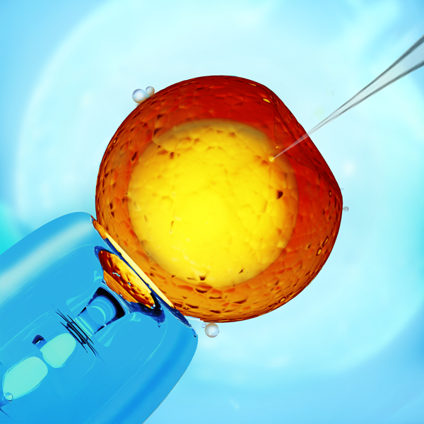 The Importance of Long-Taper Pipettes for Cell Transfection