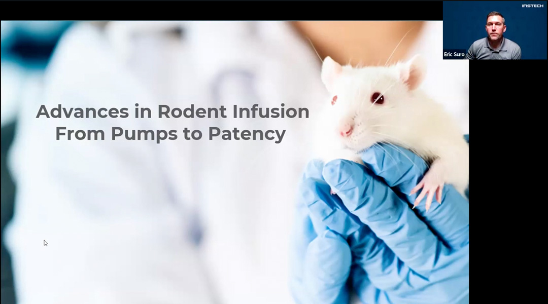 Is It OK to Infuse Several Animals at Once with a Multi-Syringe Pump?