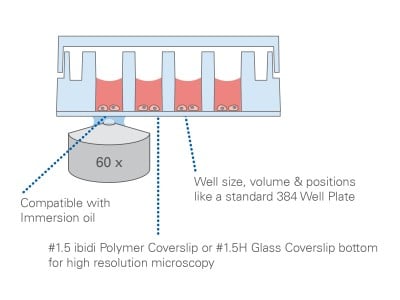 ibidi u-Slide 32 Well packaging