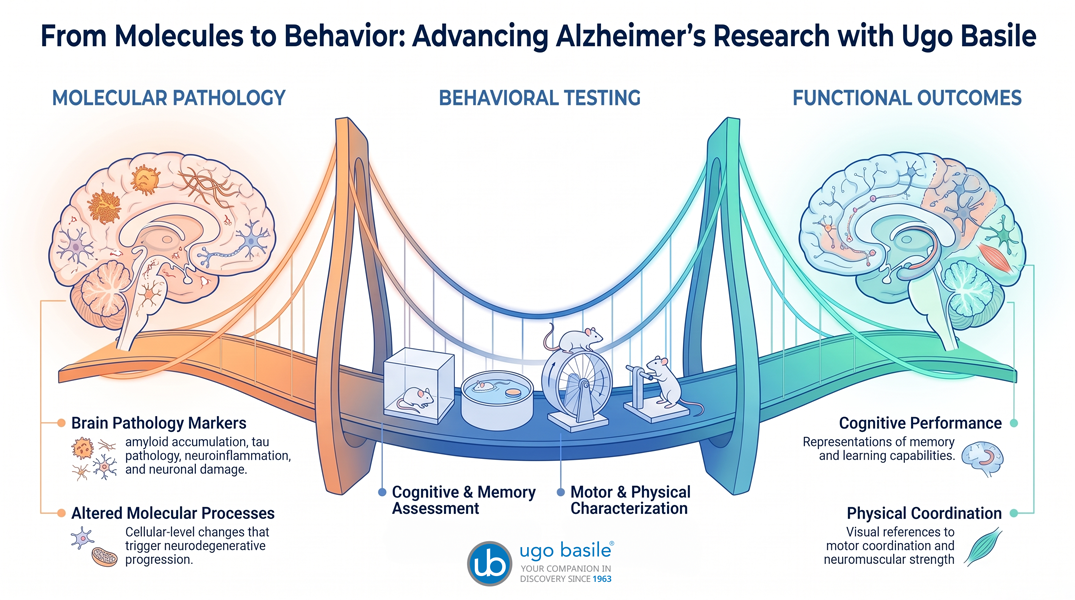 From molecular mechanisms to behavioral outcomes: Ugo Basile instruments in Alzheimer’s research