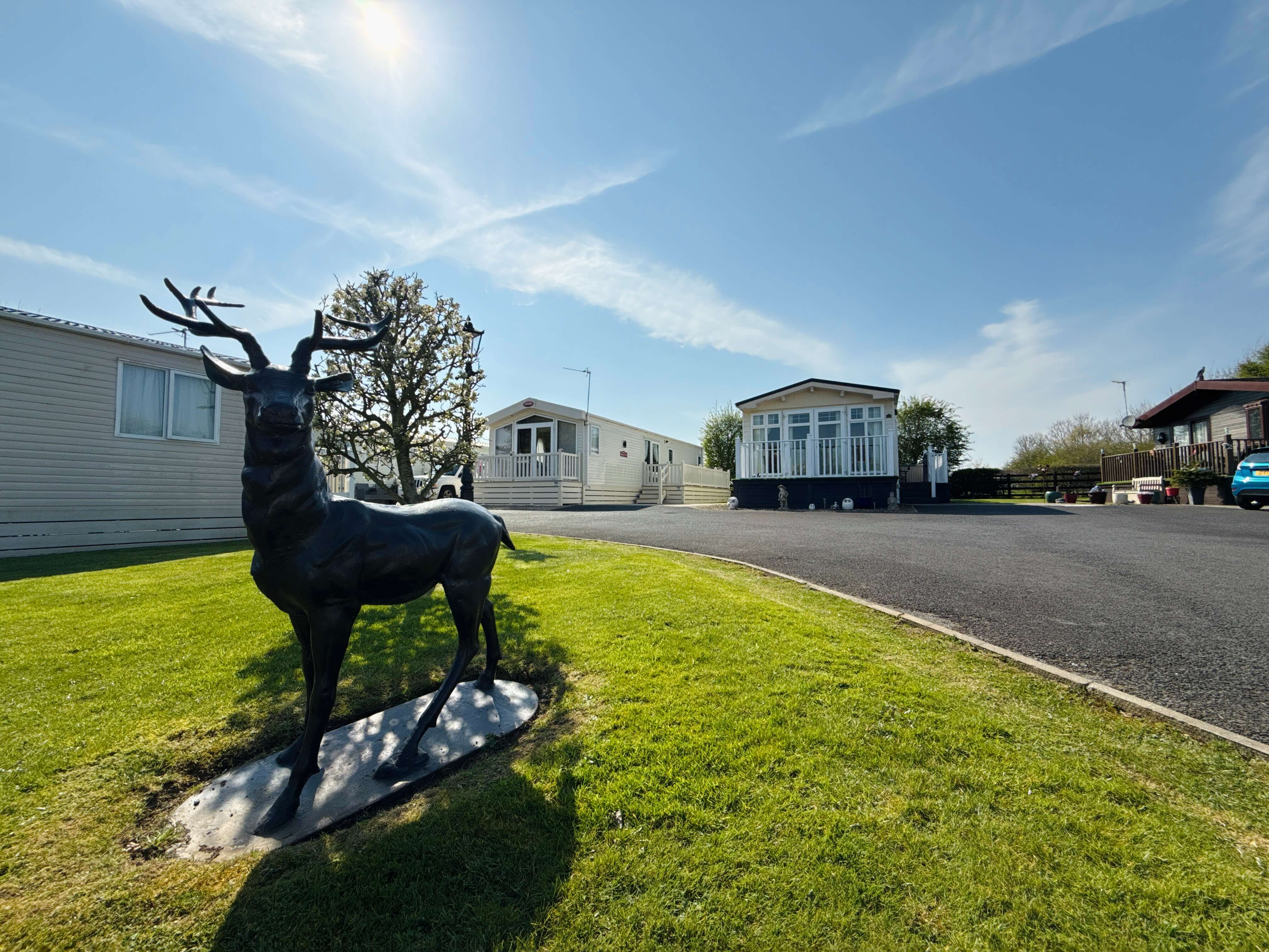 Black deer statue on grass near mobile homes on sunny day