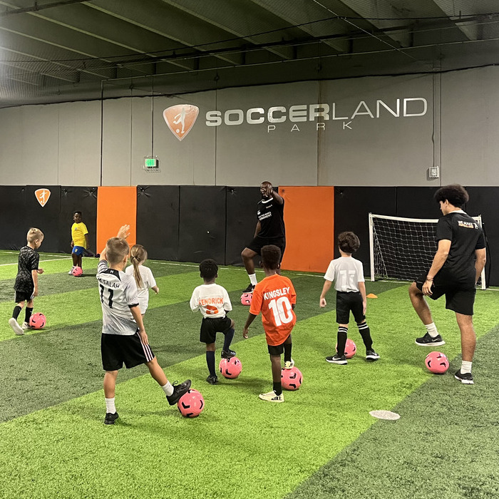 Youth soccer team enjoying teamwork and social play.
