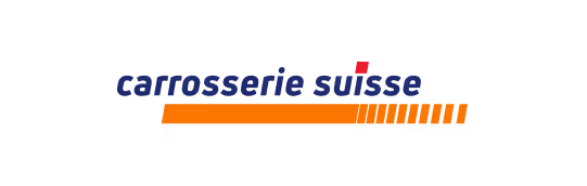VSCI Logo