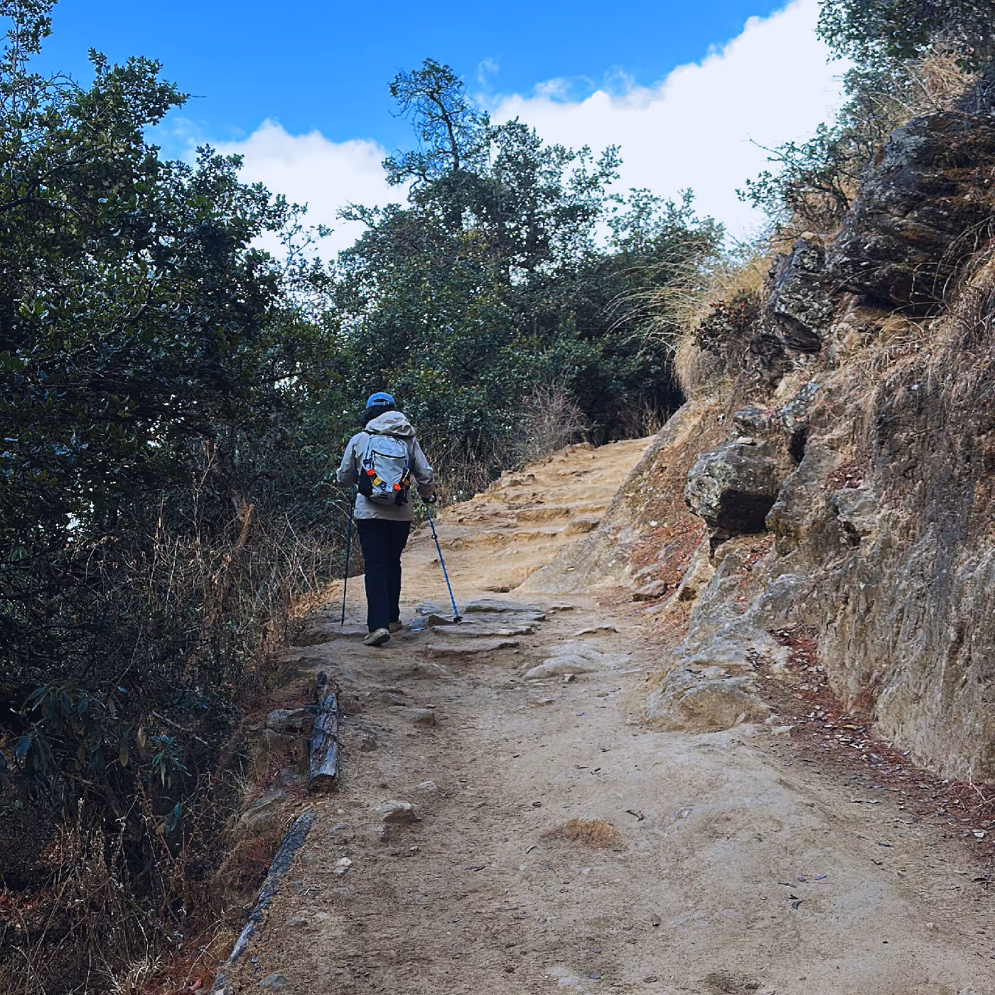 A solo hiker ascends a rugged section of the Tiger’s Nest trail, trekking poles in hand and forest canopy arching overhead.