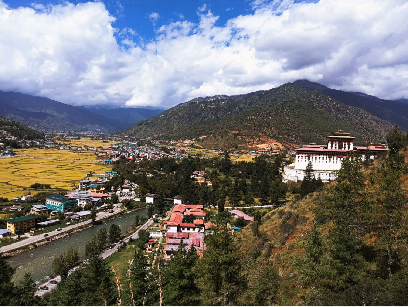 Panoramic view of Rinpung Dzong and Paro town framed by autumn-hued paddy fields, seen from the Zuri Dzong trail.