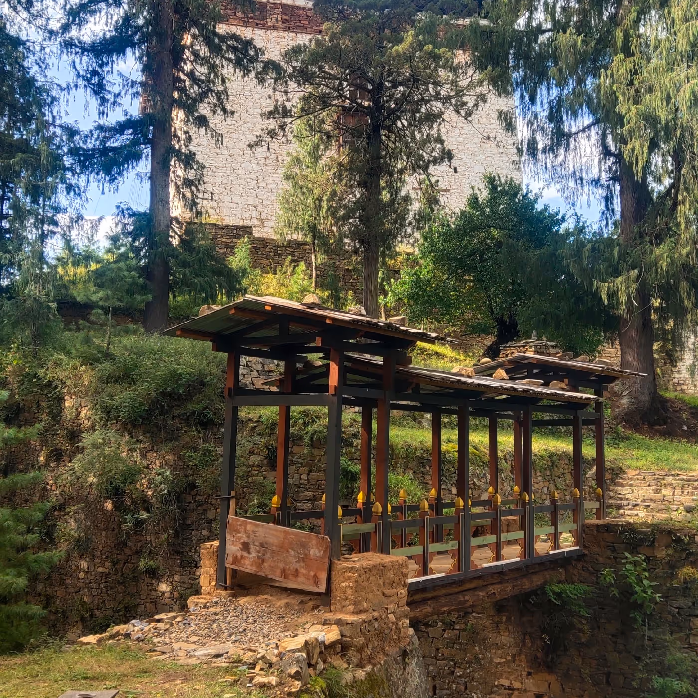 Charming traditional bridge tucked beneath pine trees near the start of the Zuri Dzong hike in Bhutan.