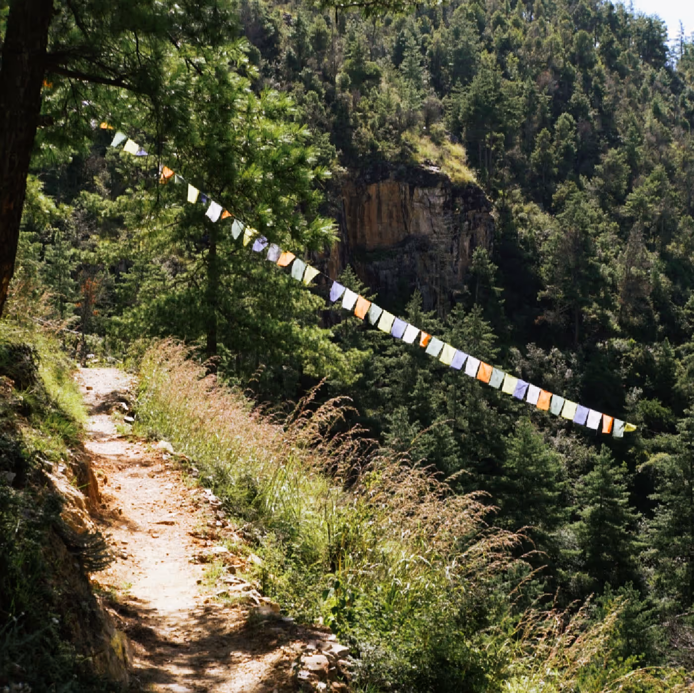 Colorful prayer flags flutter above a quiet mountain path on the Zuri Dzong hiking route, offering a soulful Bhutan experience.