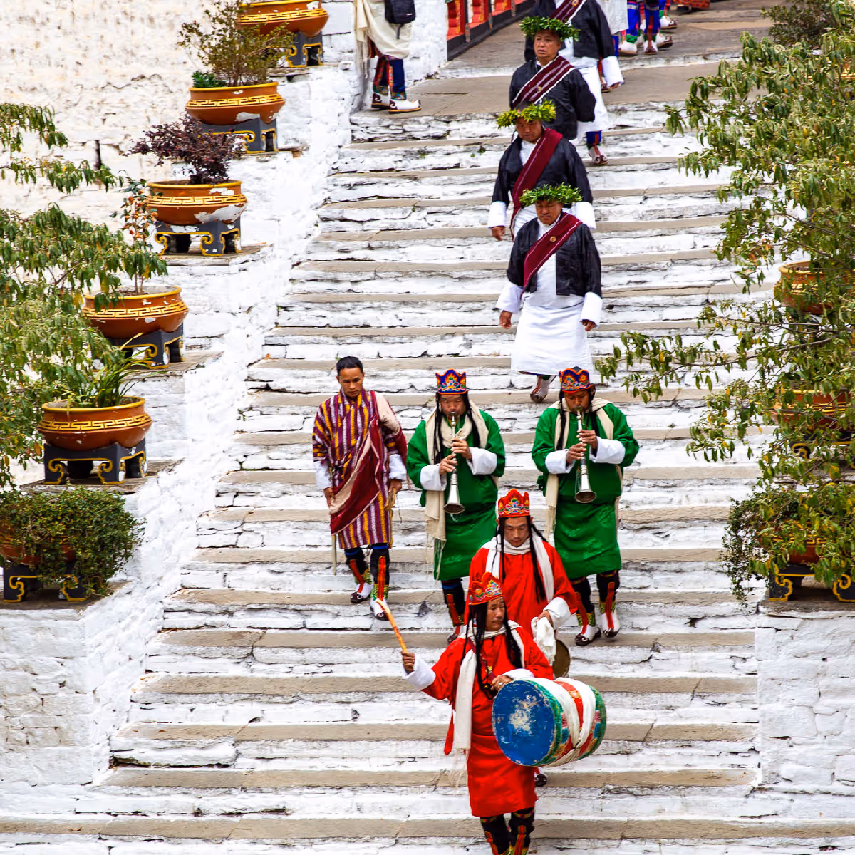 Costumed musicians and dancers descend whitewashed stone steps in a colorful ceremonial procession during Paro Tshechu.