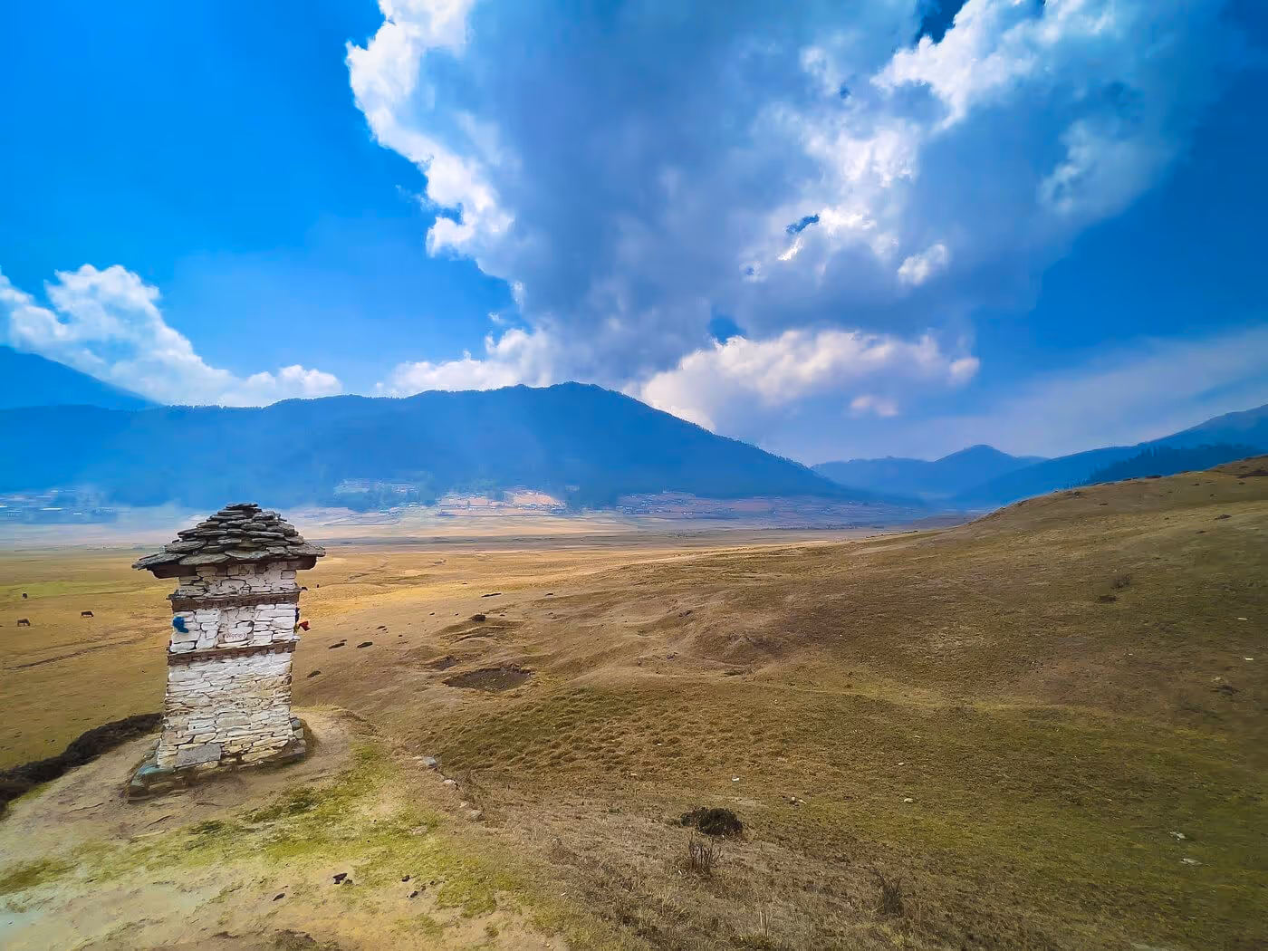 Scenic view along Gangtey Nature Trail in Bhutan, with open valley landscapes, mountains, and a traditional stupa under a bright sky.