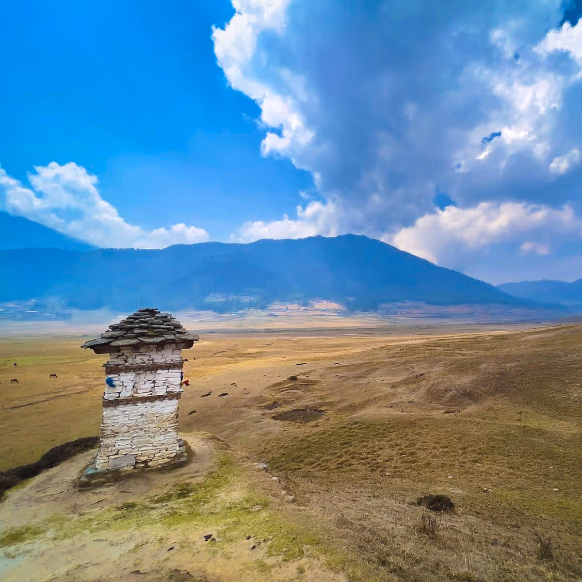 Stone chorten standing in wide Phobjikha Valley.