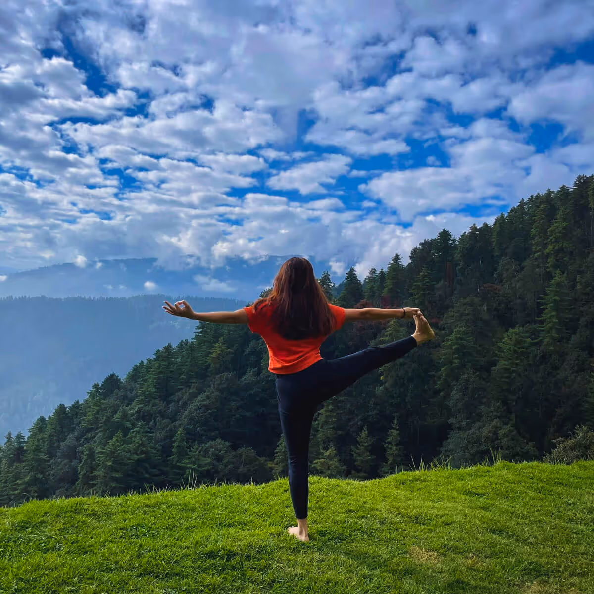 Woman practicing yoga in a forest meadow.