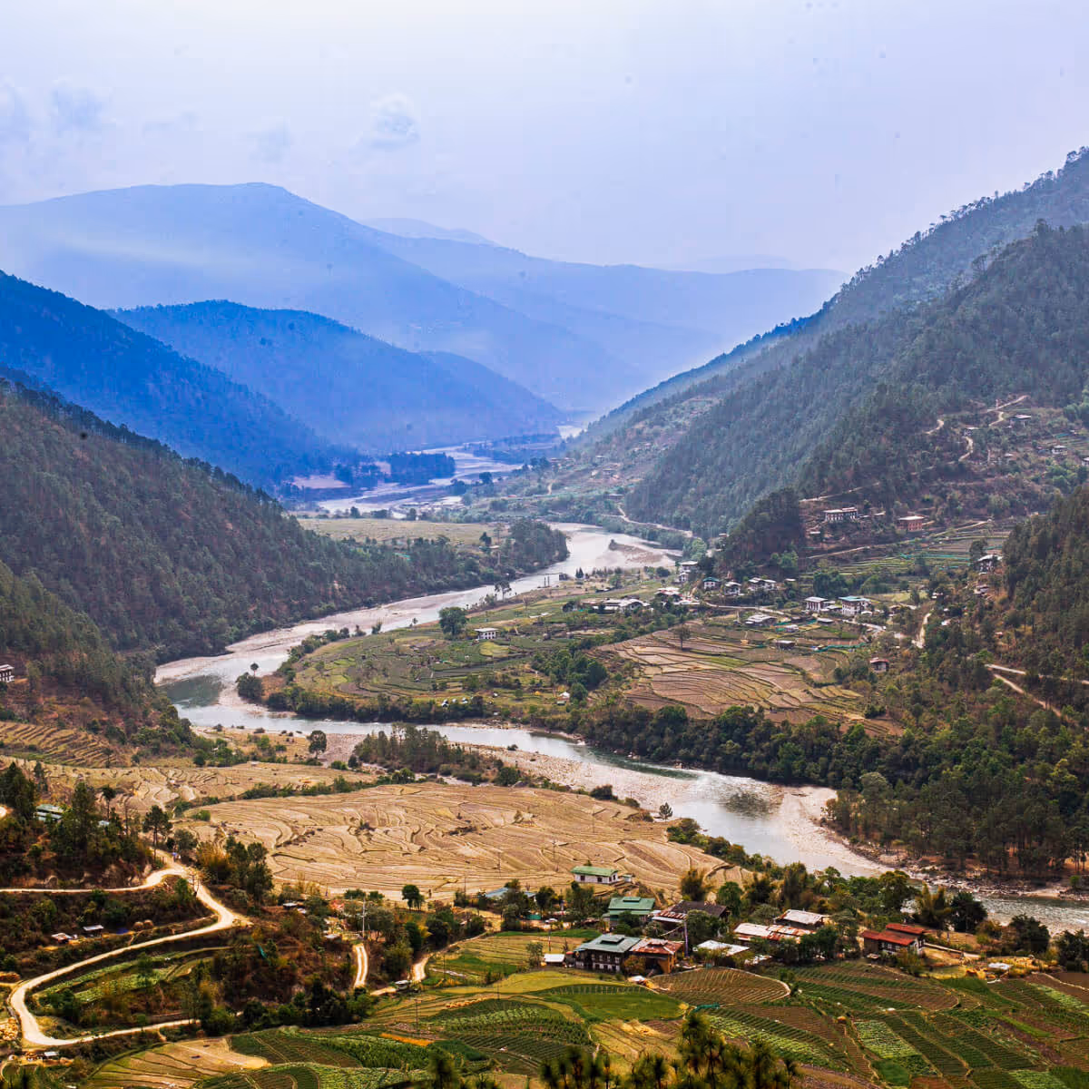 Serene Punakha valley view with rivers and terraced fields