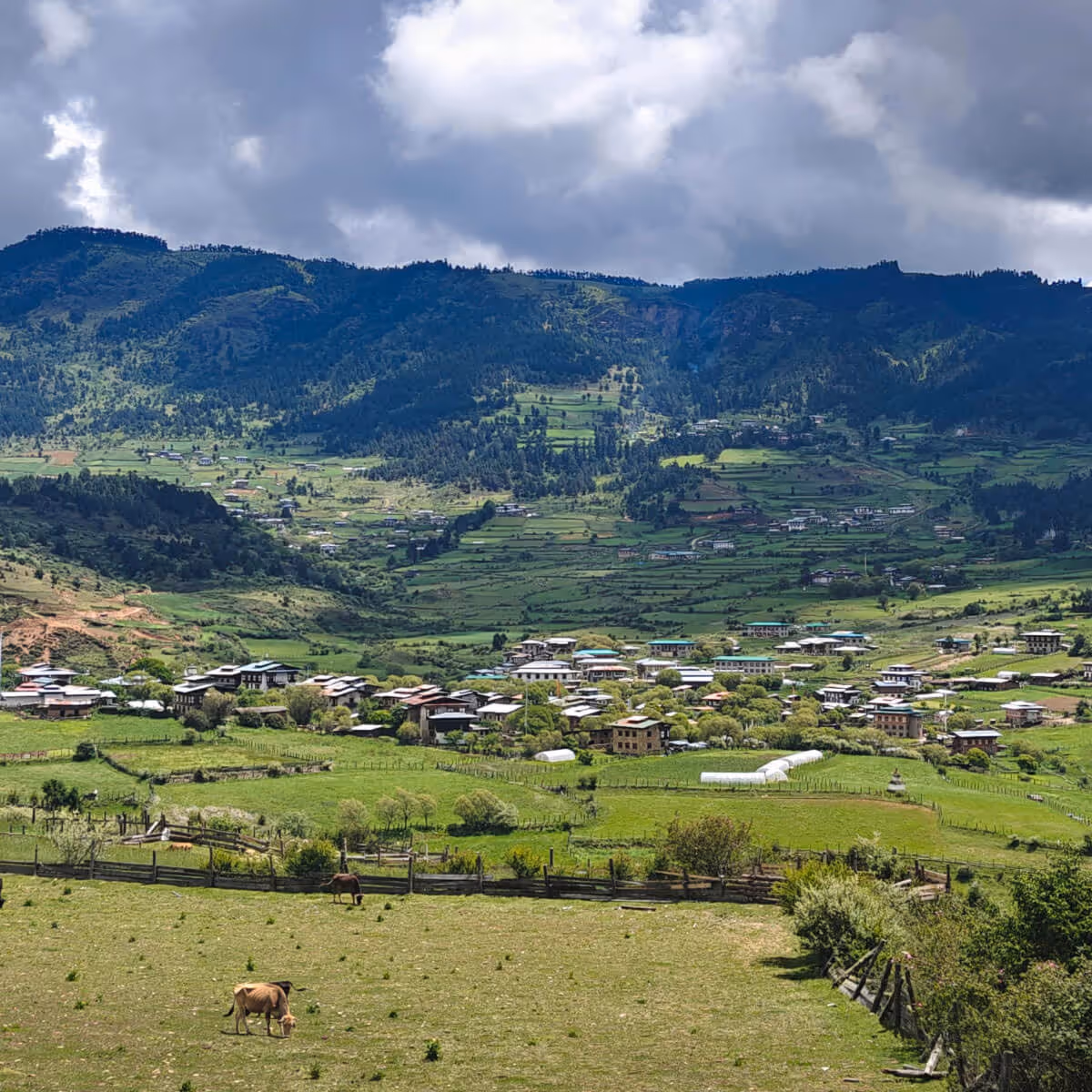 Scenic green Ura valley landscape with farmhouses in Bumthang, Bhutan.