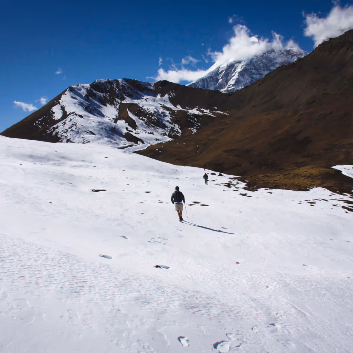 Trekkers crossing a snowy mountain pass on the Nub Tshonapata Trek in Bhutan.