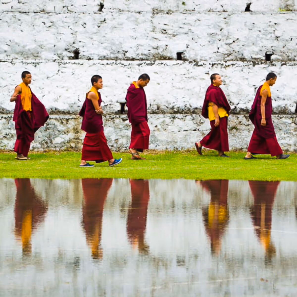 Young monks walking along a white wall with clear reflections in a pond.
